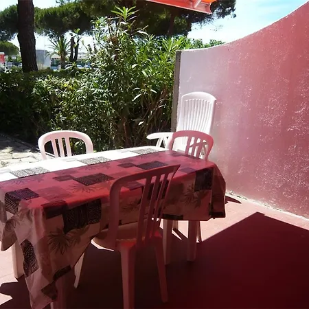 Climatisé, Terrasse, Jardin Clos, Parking Privé, Proche Et Commerces Au Grau-du-roi - Fr-1-731-53 Appartamento